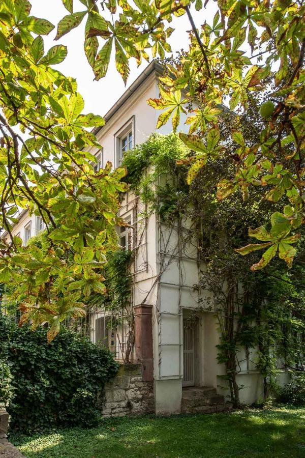 Ferienwohnung Am Dom II Naumburg  Eksteriør bilde